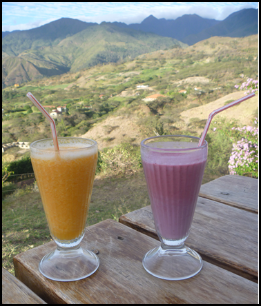 tree tomato juice, mulberry juice, and a spectacular view in vilcabamba