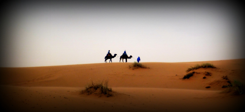 Camel-riding in Merzouga, Morocco