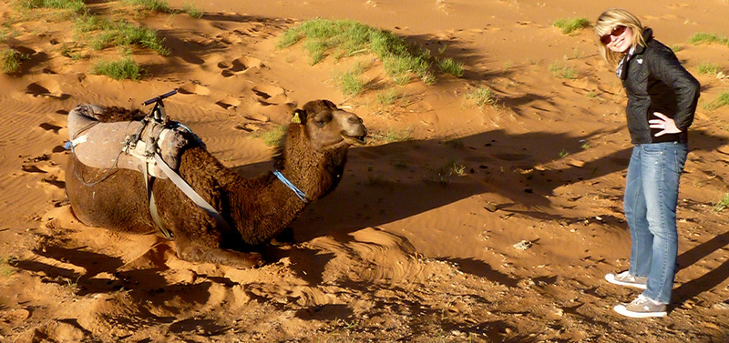 Camel-riding in Merzouga, Morocco