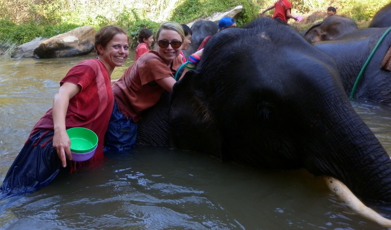 Ran-tong Save & Rescue Elephant Centre, Chiang Mai