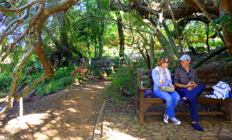 Kirstenbosch Gardens, Cape Town