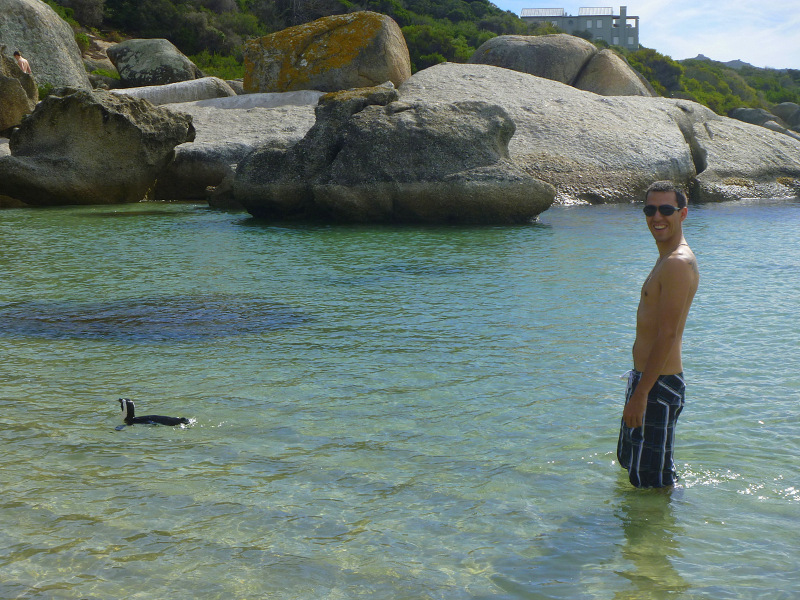 Boulders Beach, Cape Town