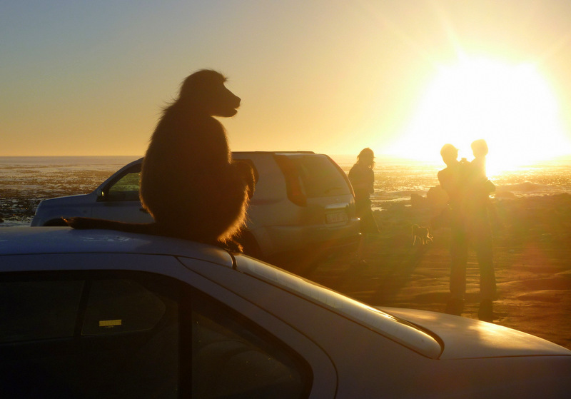 Cape of Good Hope, Cape Town