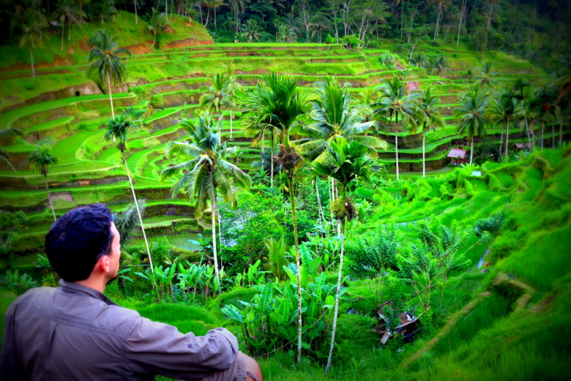 Tegalalang, Bali, Indonesia