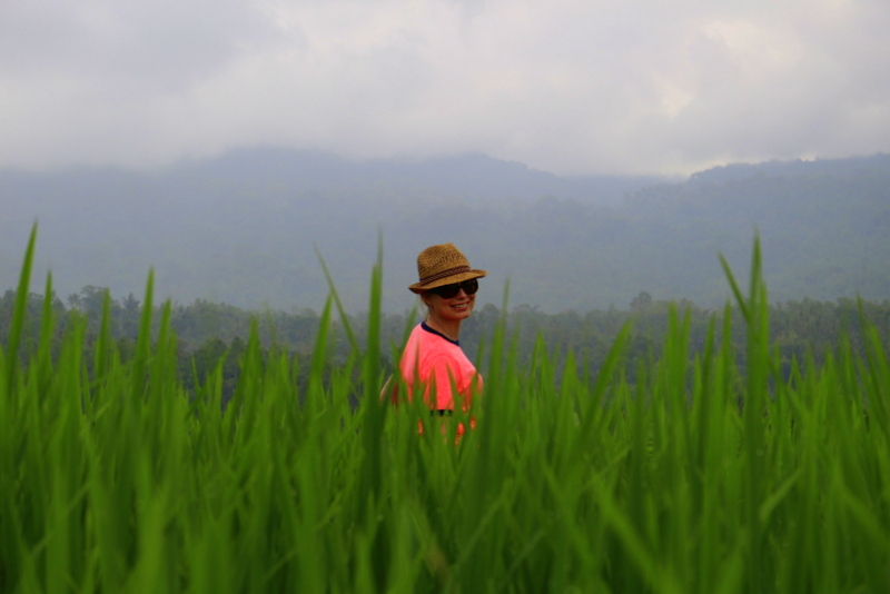 Jatiluwih Rice Terraces, Bali, Indonesia