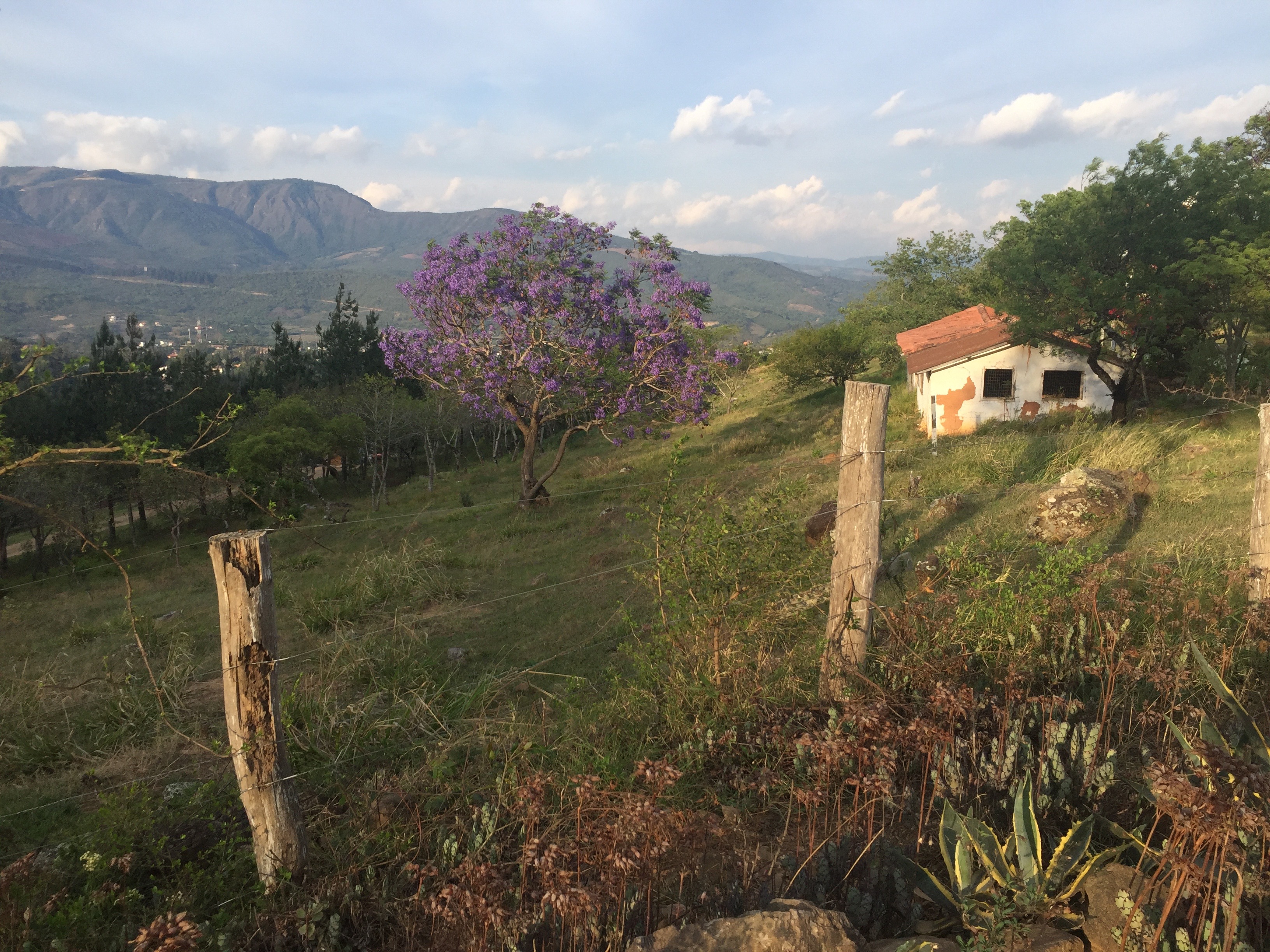 View coming down from El Pueblito