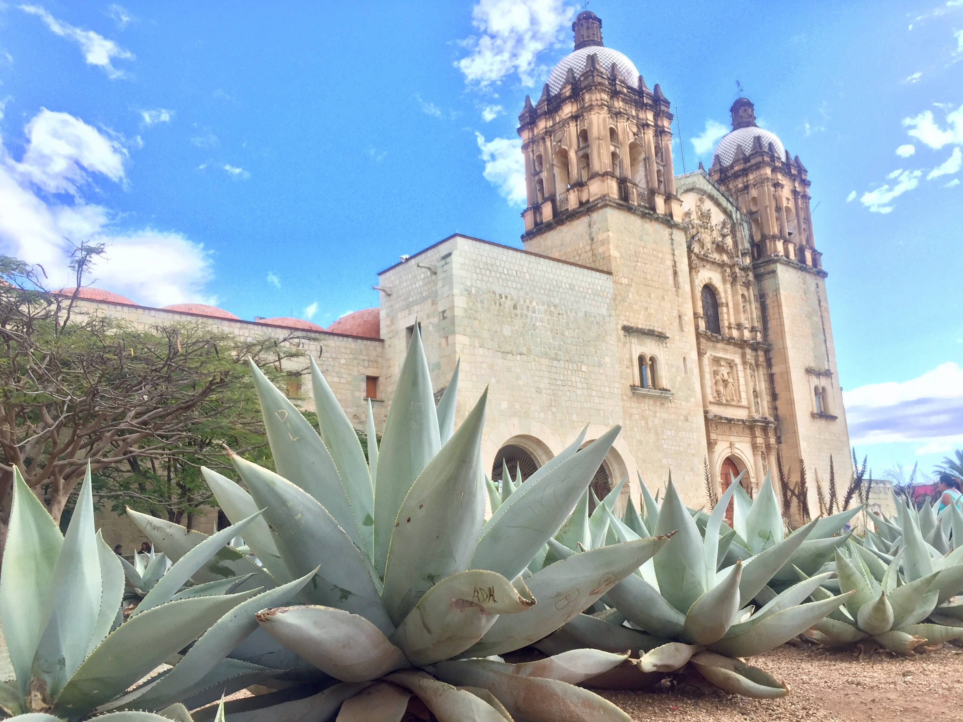 Templo de Santo Domingo de Guzman, Oaxaca