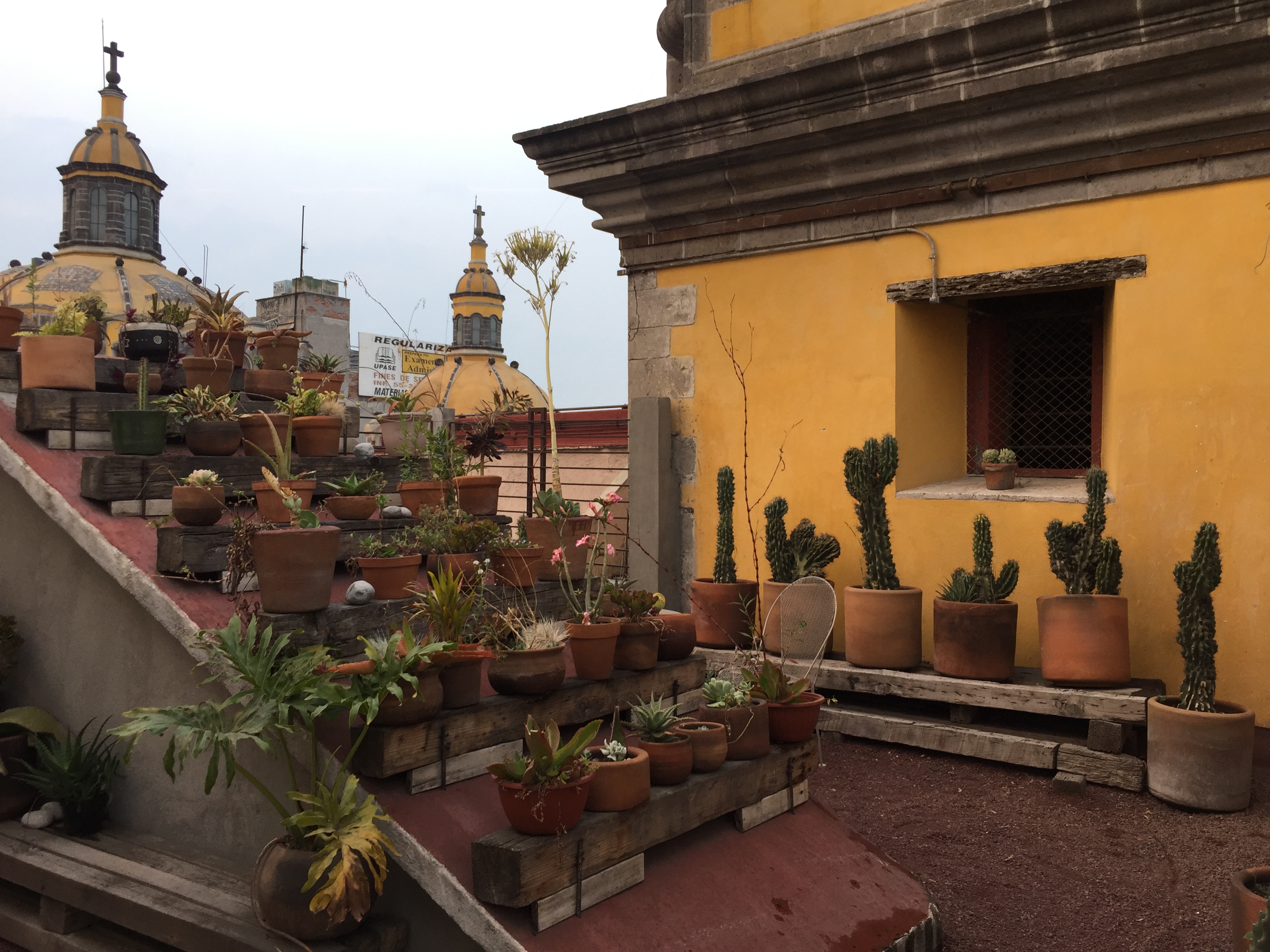 Chaya Bed and Breakfast Reviewed Mexico CIty Hotel with Rooftop Views